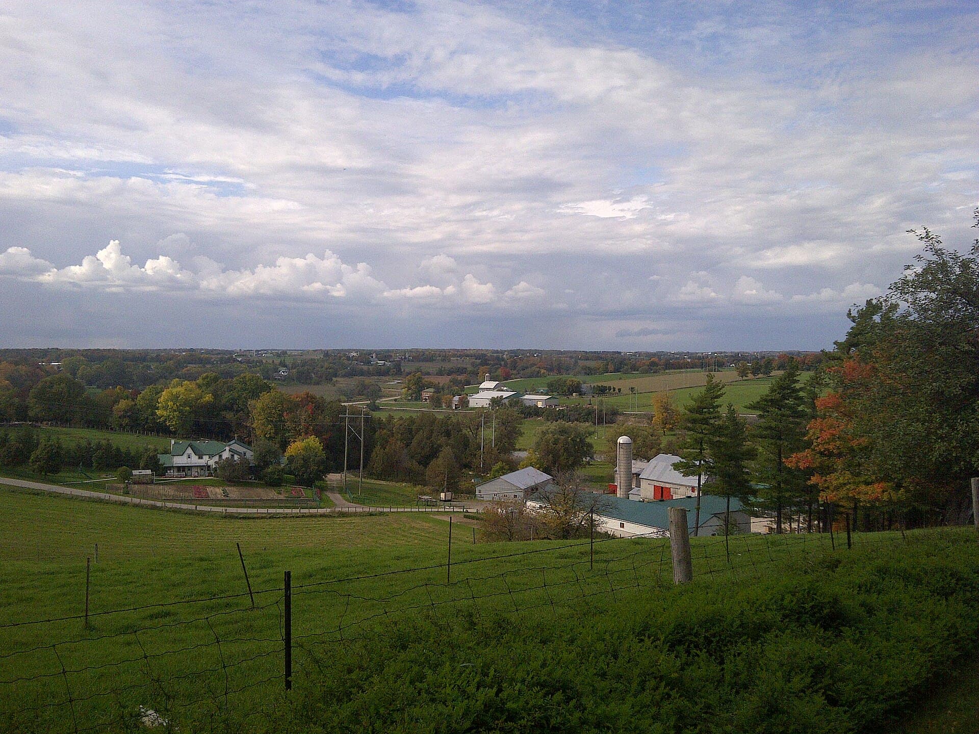 Rolling farmland and autumn treelines in the countryside around Wellesley village